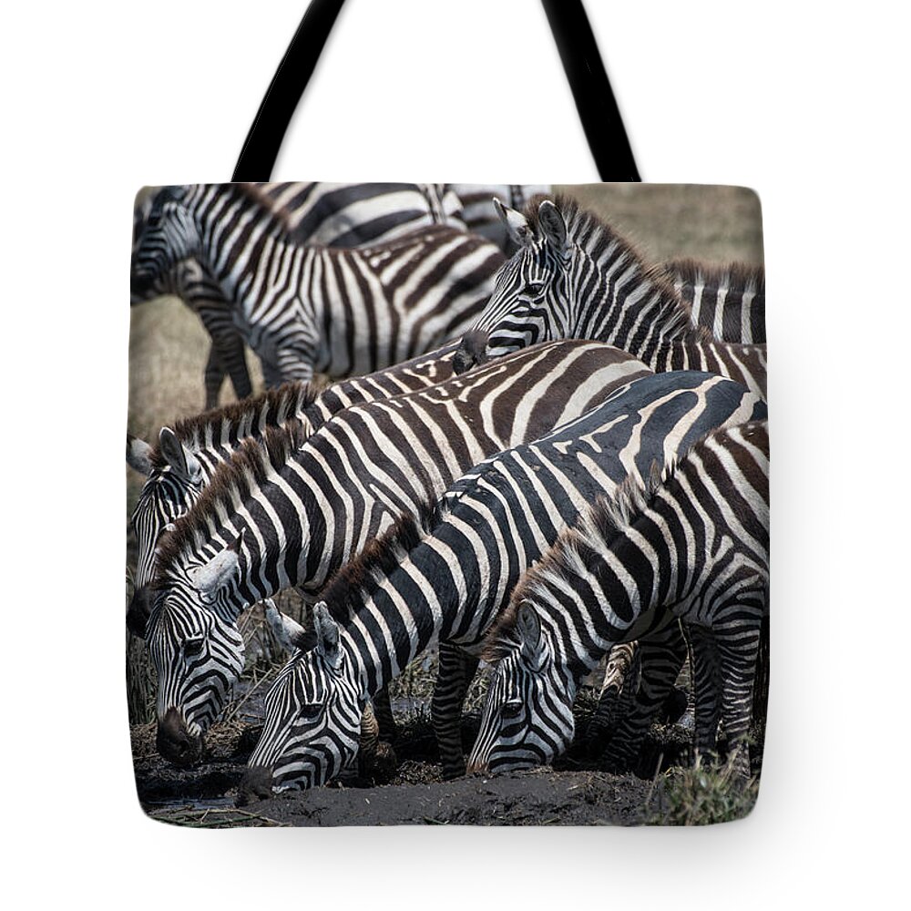 Africa Tote Bag featuring the photograph Zebra Herd at mudhole by Steve Somerville