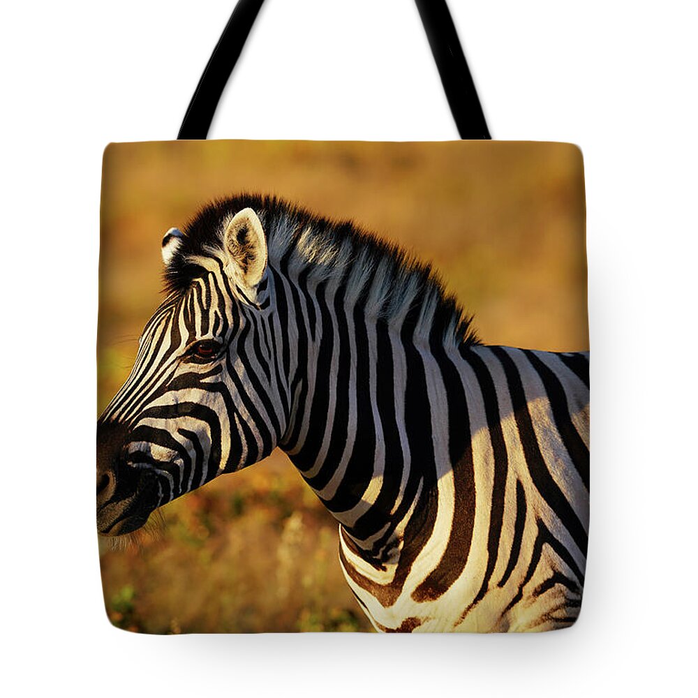00584693 Tote Bag featuring the photograph Zebra In Namibia by Hiroya Minakuchi