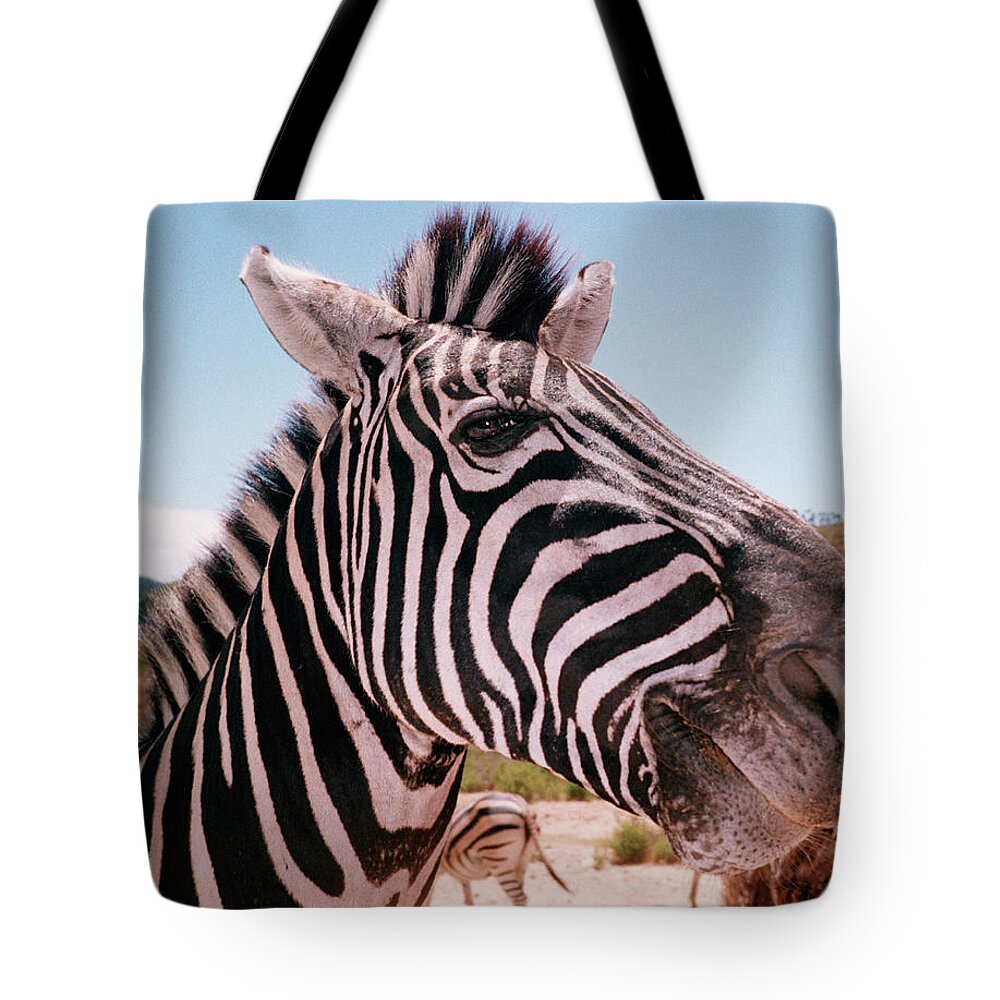 Natural Pattern Tote Bag featuring the photograph Zebra by Jonathan Knowles