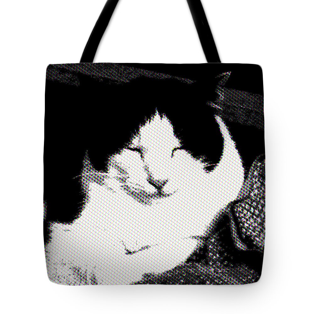 Cat Tote Bag featuring the photograph Zen Cat by Mimulux Patricia No