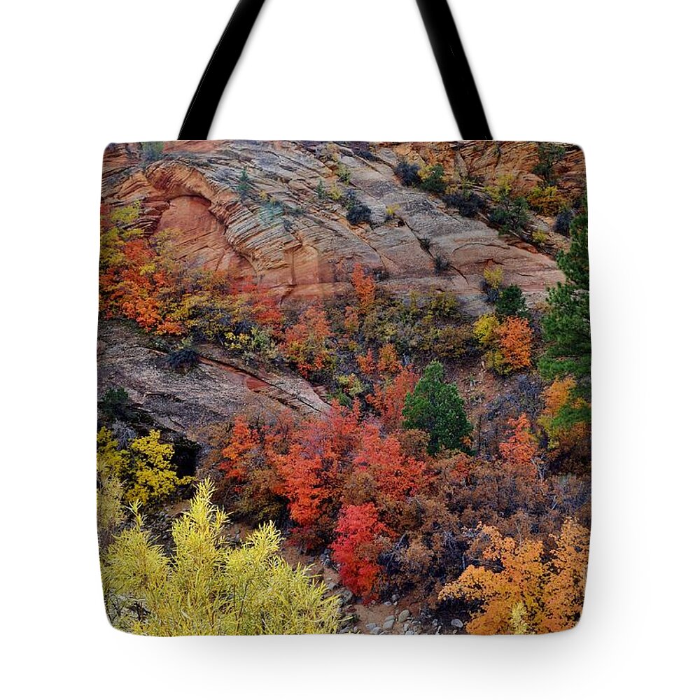 Fall Colors Tote Bag featuring the photograph Zion Vibrancy by Janet Marie