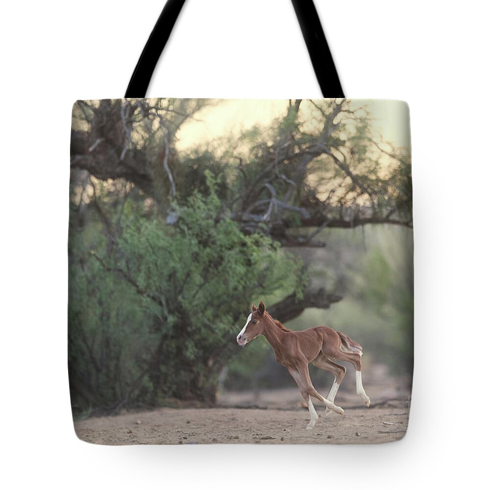 Cute Tote Bag featuring the photograph Zoomies by Shannon Hastings