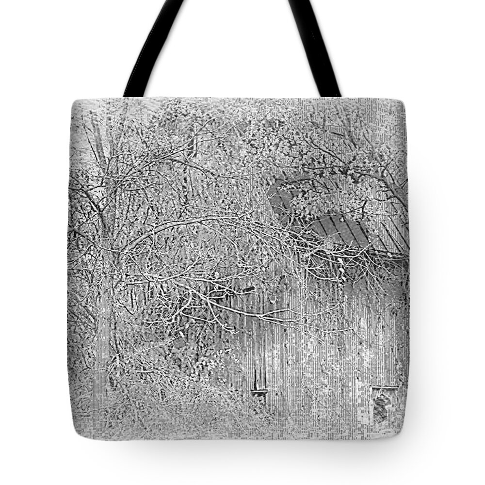 Barn Tote Bag featuring the photograph 0001 - Annie's Barn I by Sheryl L Sutter
