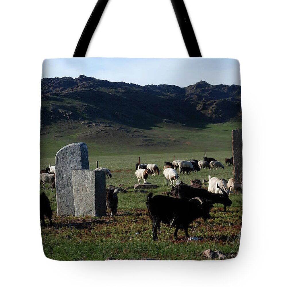 A Deer Statue Thousands Of Years Ago Tote Bag featuring the photograph A deer statue thousands of years ago #2 by Elbegzaya Lkhagvasuren