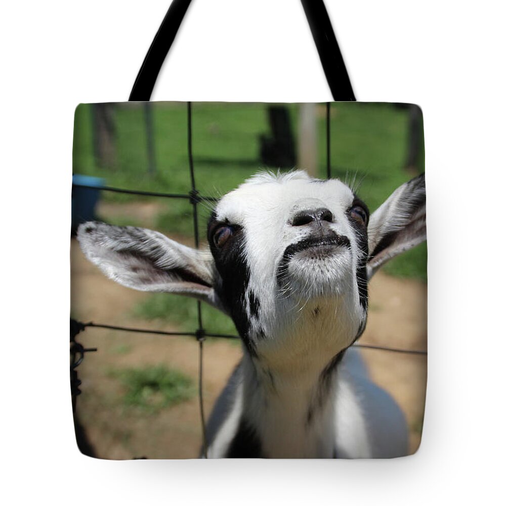 Goat Tote Bag featuring the photograph A Goat's Smile by Demetrai Johnson
