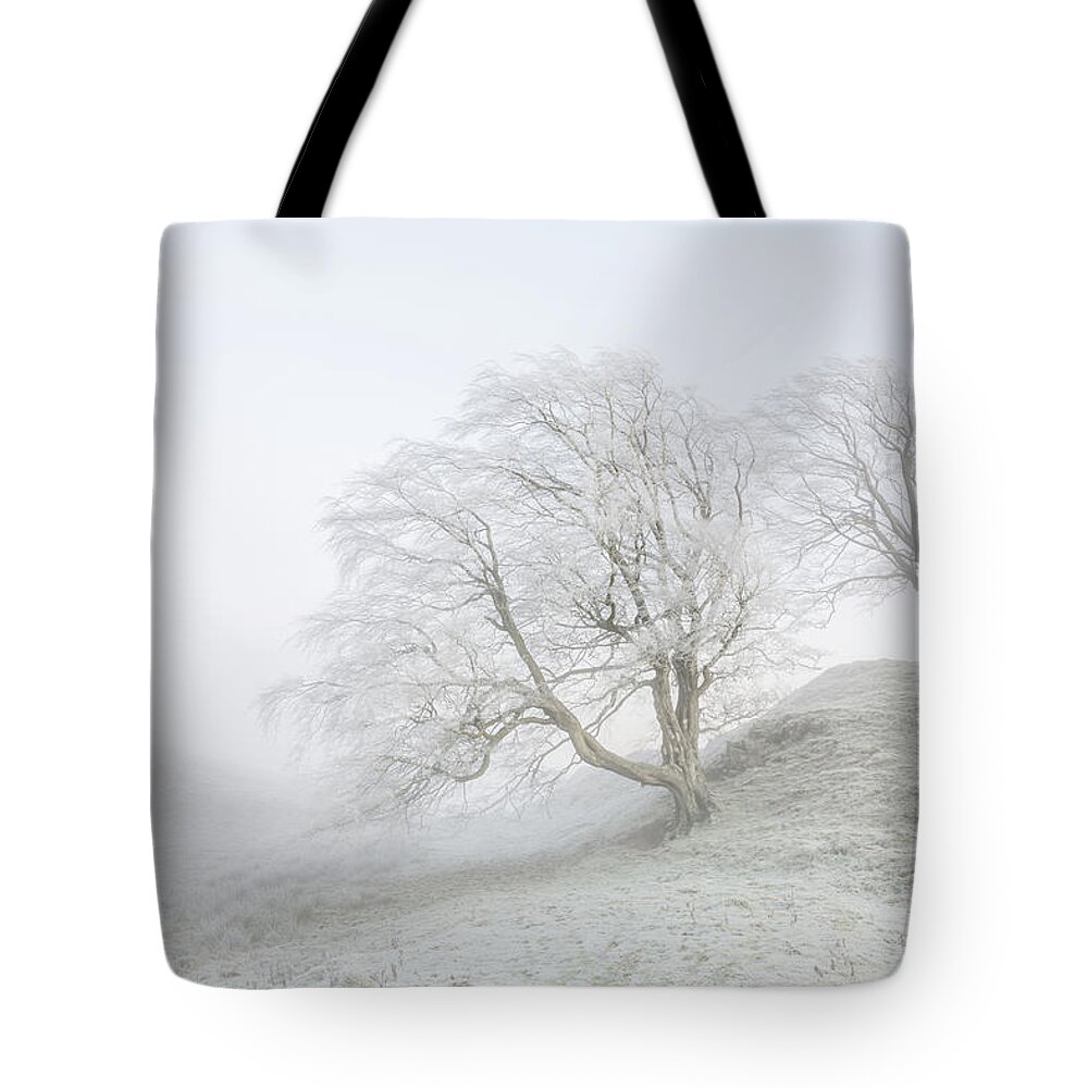 Winter Tote Bag featuring the photograph Sentinels by Anita Nicholson