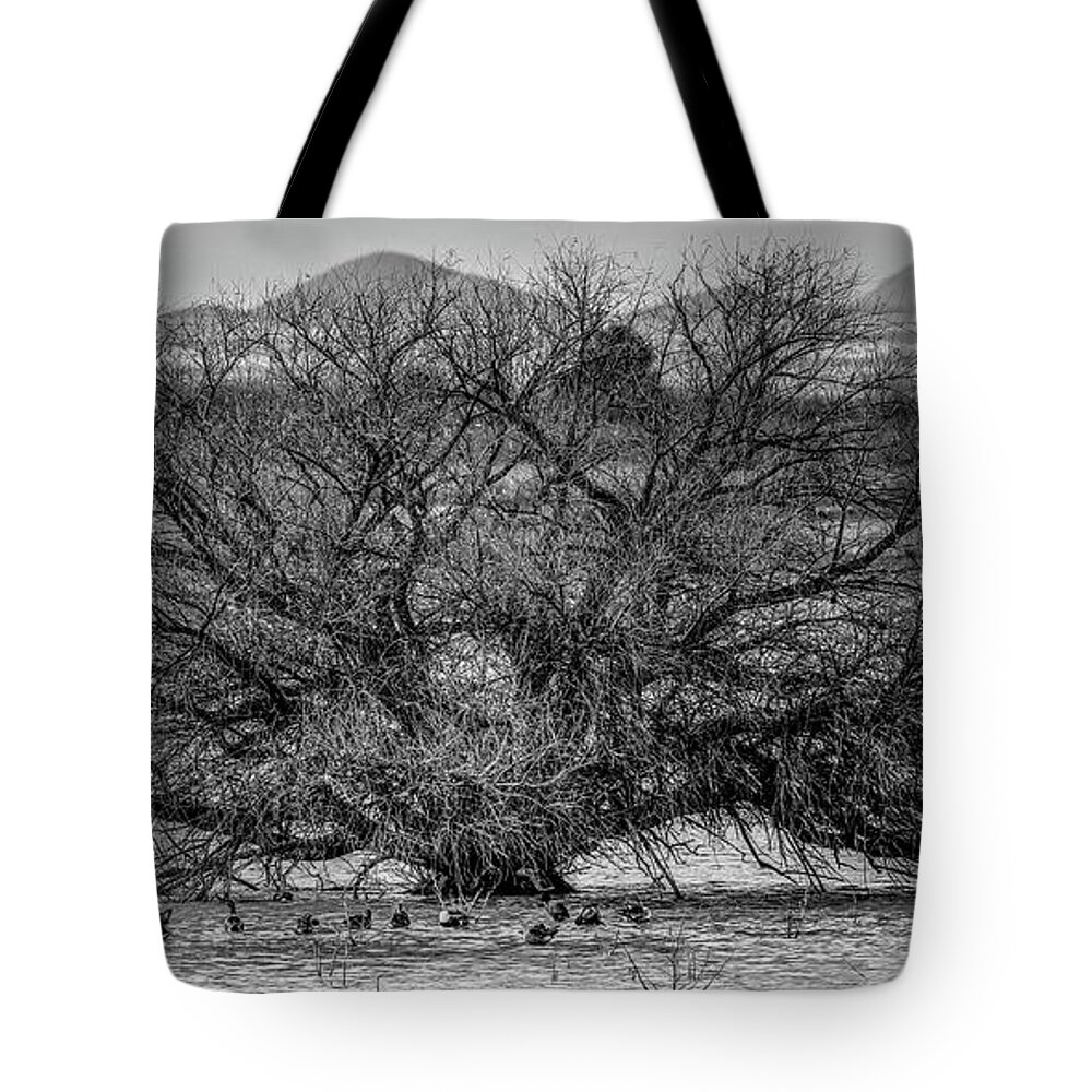 Fine Art Tote Bag featuring the photograph A Tree At Whitewater Draw Monochrome by Robert Harris