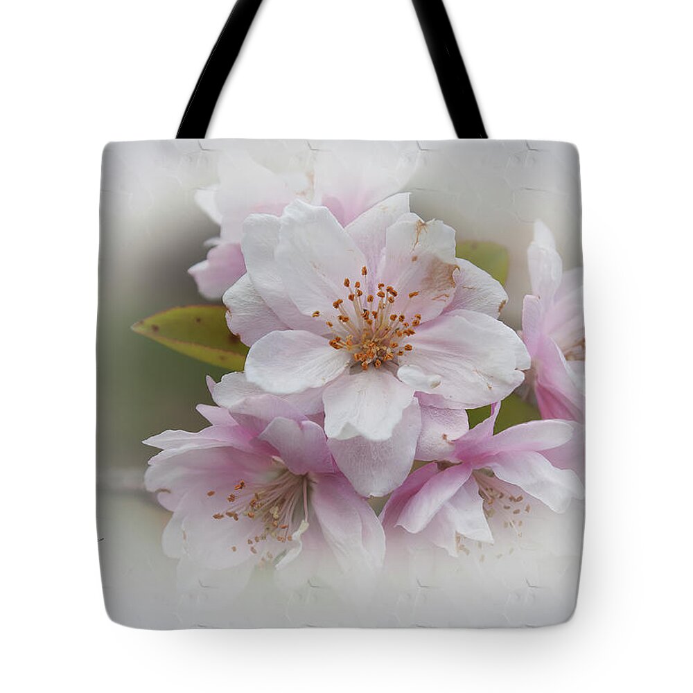 Flowers Tote Bag featuring the photograph Apple Blossom by Elaine Teague