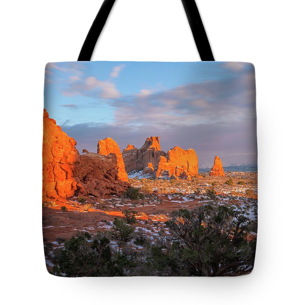 Landscape Tote Bag featuring the photograph Arid #1 by Jonathan Nguyen