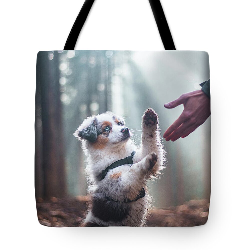 Breed Tote Bag featuring the photograph Australian Shepherd puppy by Vaclav Sonnek