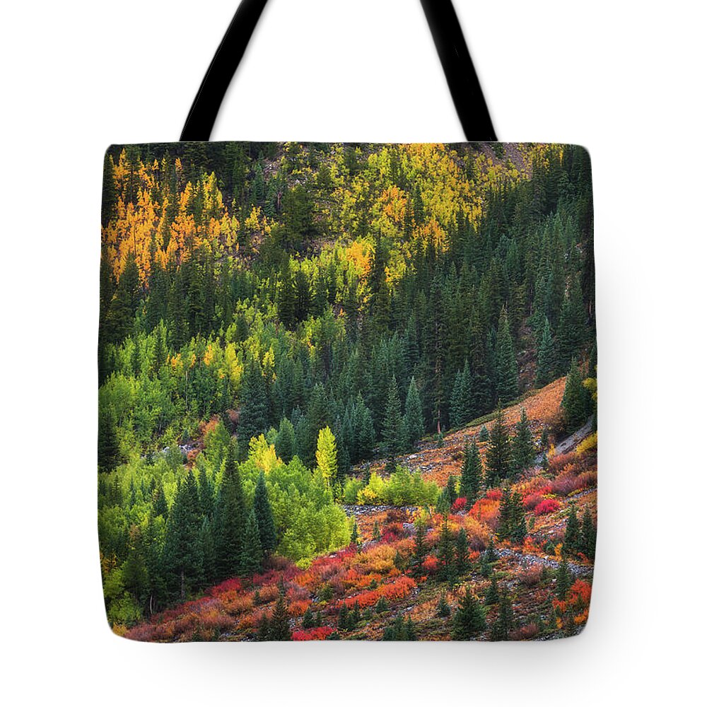 Fall Tote Bag featuring the photograph Autumn's Color Palette #1 by Darren White