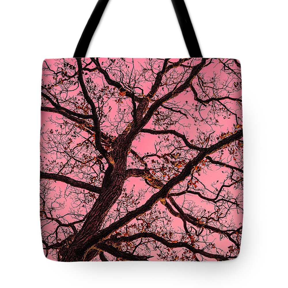 Bare Tree Zion Illinois Red Yellow Branches Tote Bag featuring the photograph Bare Tree in Zion, Illinois #1 by David Morehead