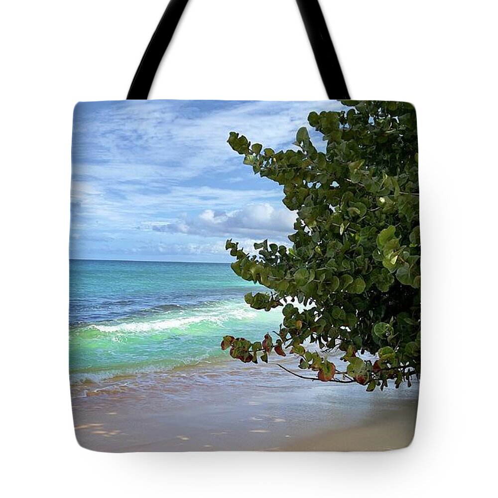Beach Tote Bag featuring the photograph Beach #1 by Laura Forde
