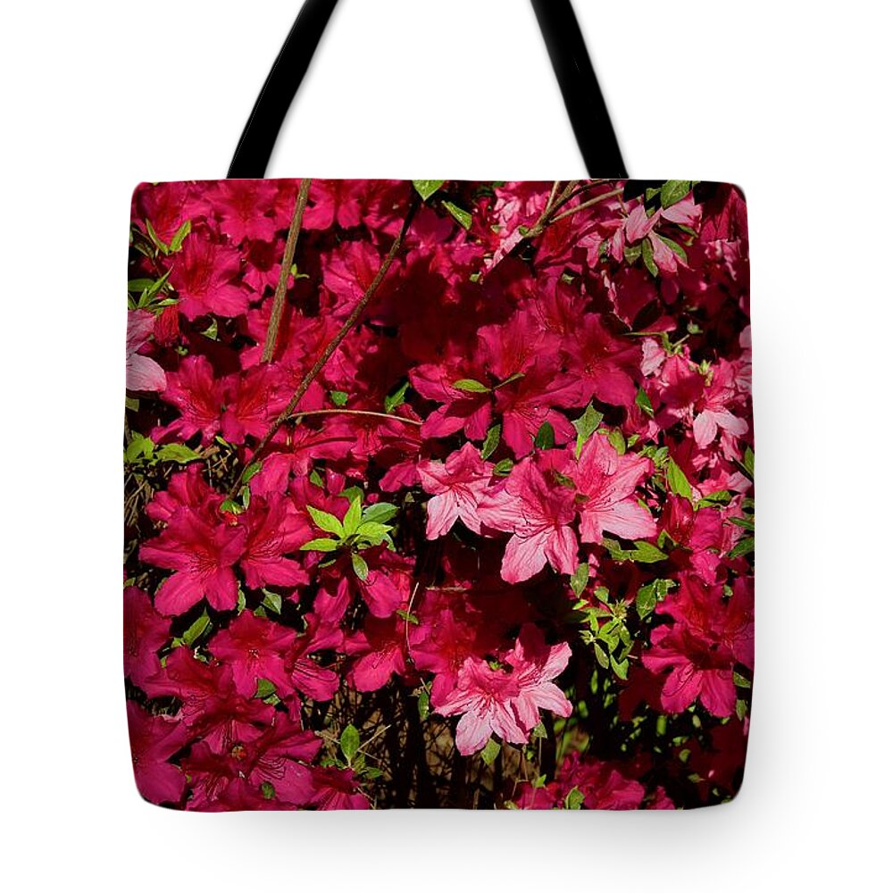 Beautiful Tote Bag featuring the photograph Beautiful Blooming Azaleas #1 by Dennis Schmidt