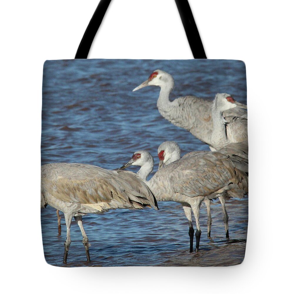 Wildlife Tote Bag featuring the photograph Birds Of A Feather by Robert Harris