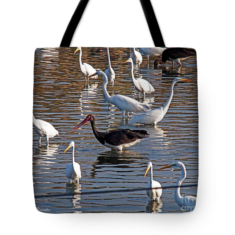 Black And White Tote Bag featuring the photograph Black and White #1 by Arik Baltinester