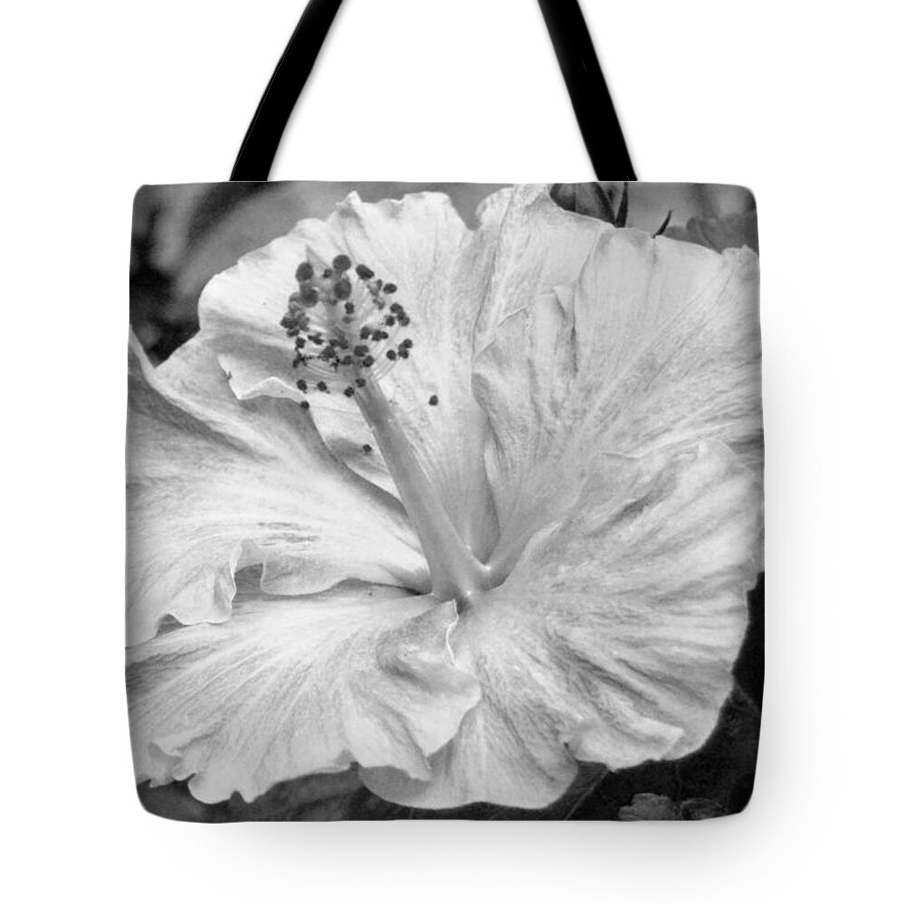Flower Tote Bag featuring the photograph Black and White Hibiscus 2 by Amy Fose