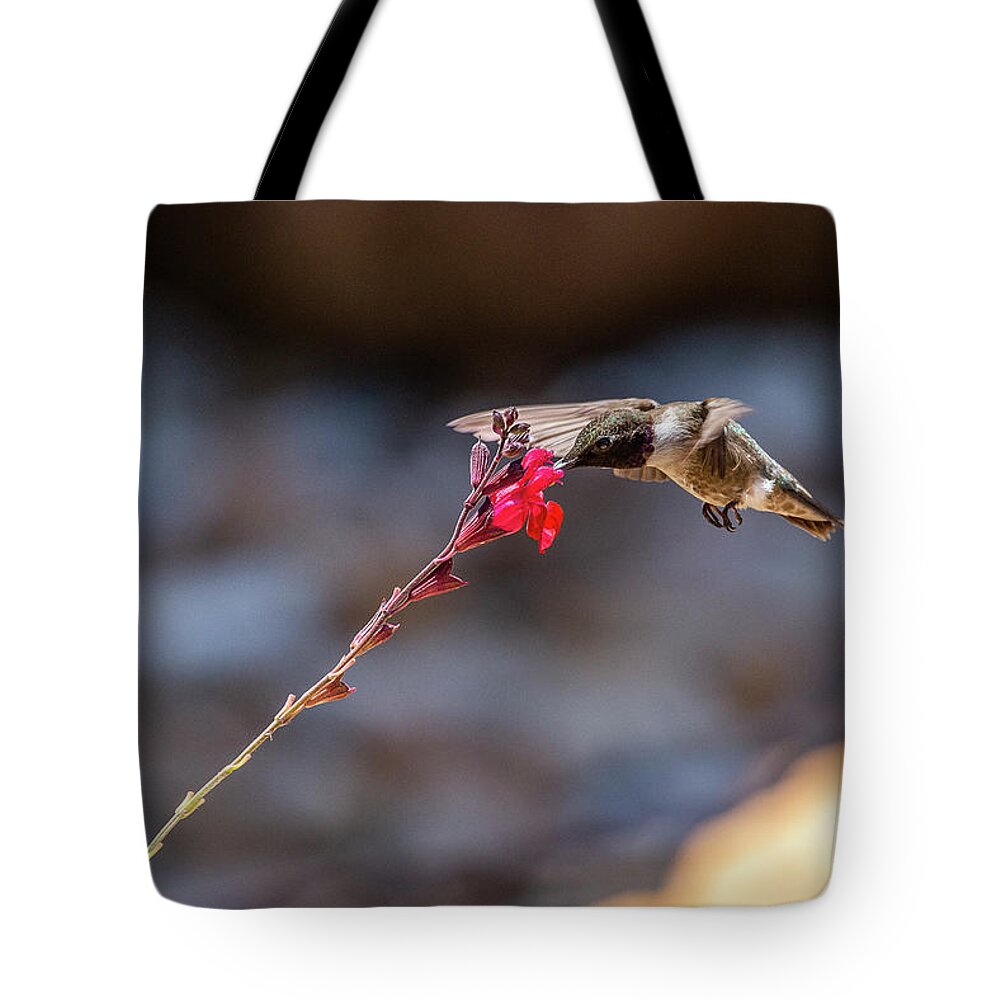 Birds Tote Bag featuring the photograph Black-chinned Hummingbird #1 by Frank Madia