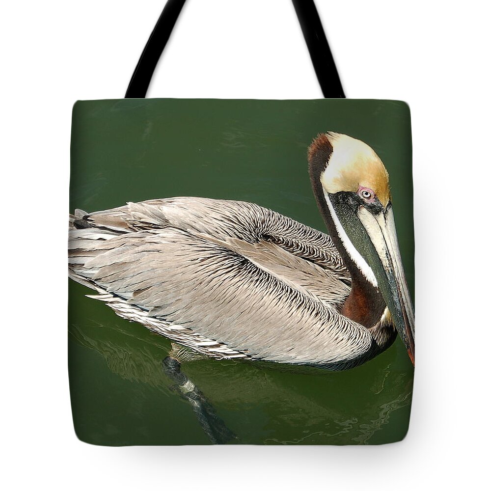 Water Tote Bag featuring the photograph Blondie #1 by Sandy Poore