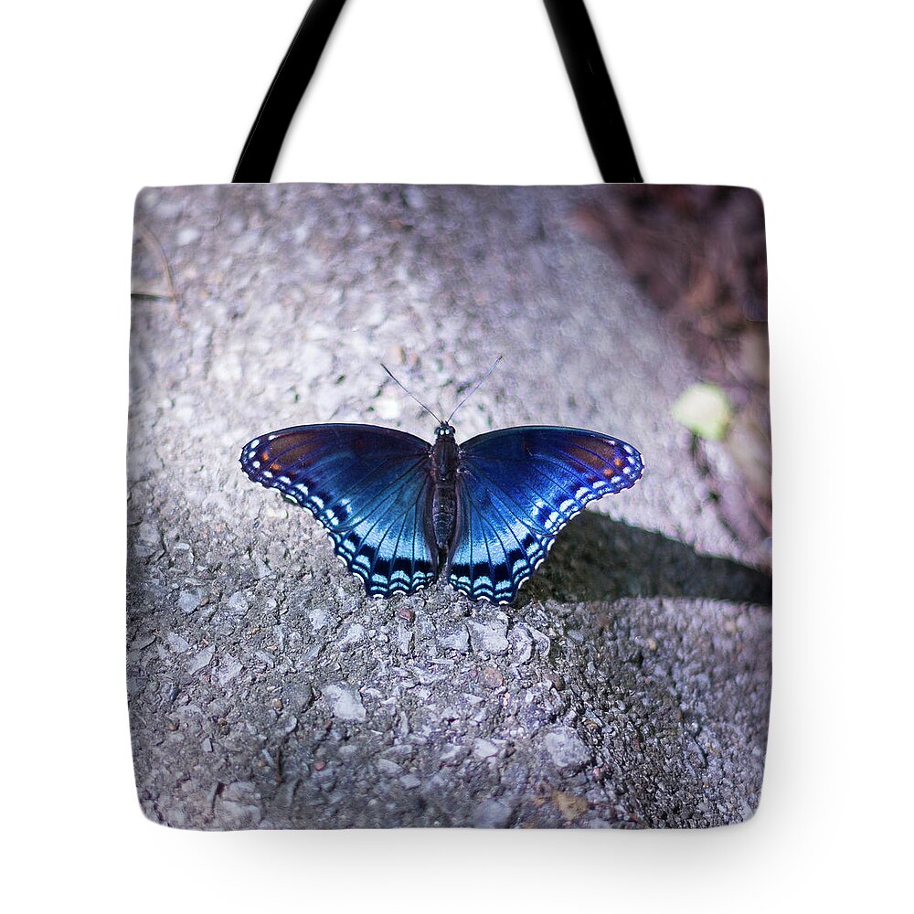 Butterfly Tote Bag featuring the photograph Blue Butterfly by David Beechum
