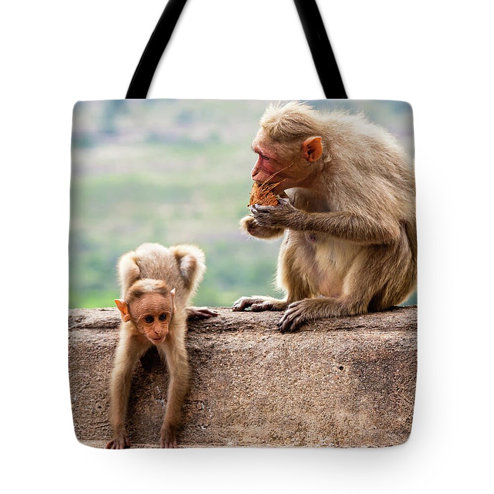 Animal Tote Bag featuring the photograph Bonnet macaques - mother and child #1 by SAURAVphoto Online Store