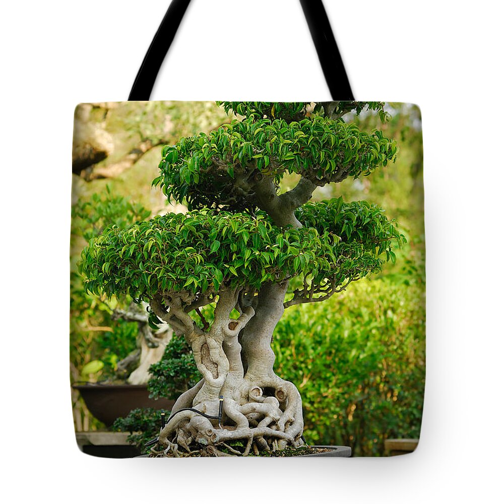 Curve Tote Bag featuring the photograph Bonsai Tree #1 by Thepalmer