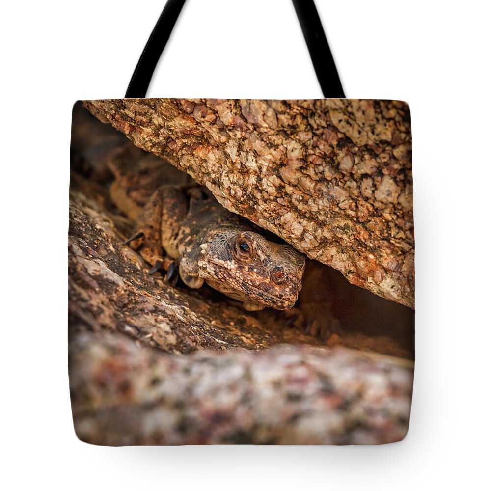 Nature Tote Bag featuring the photograph Brown reptile lizard camouflaged against rocks #1 by Rick Deacon