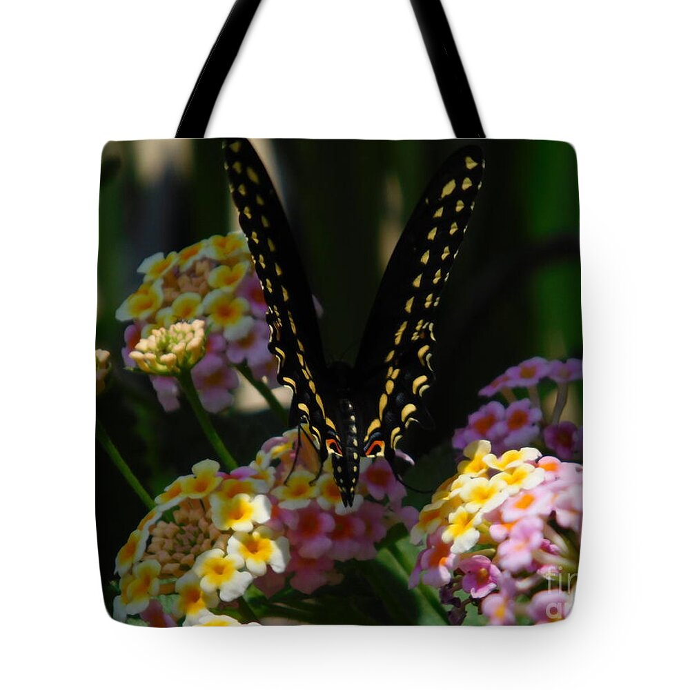 Butterfly Tote Bag featuring the photograph Butterfly #1 by Chris Tarpening