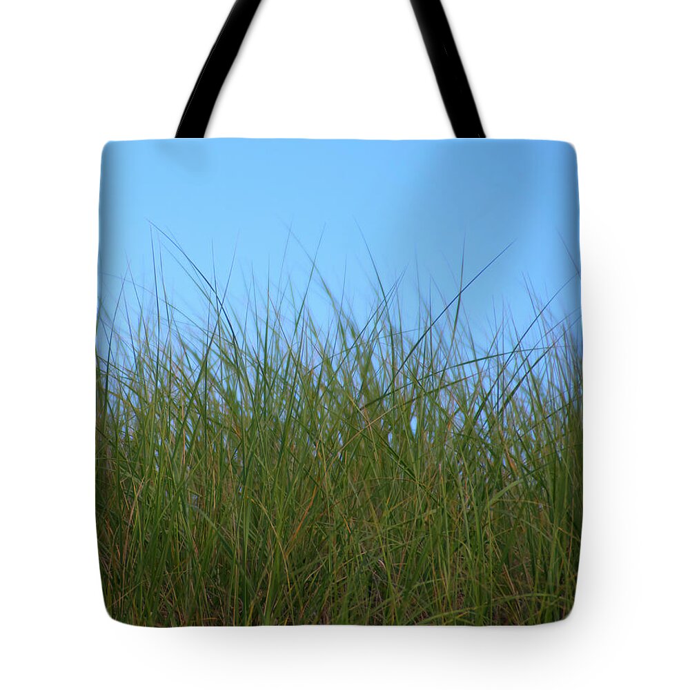Grass Tote Bag featuring the photograph Cape Cod Beach Grass #1 by Flinn Hackett