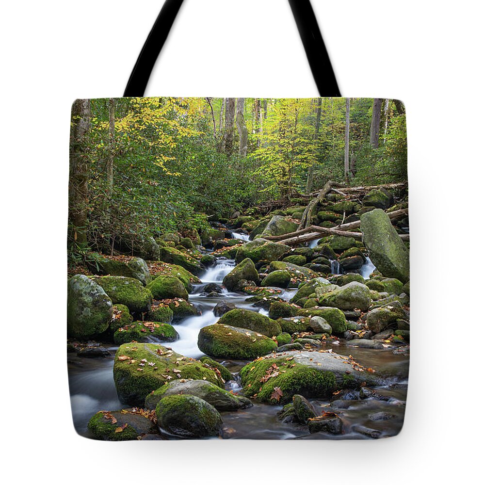 Art Prints Tote Bag featuring the photograph Cascade 2 by Nunweiler Photography