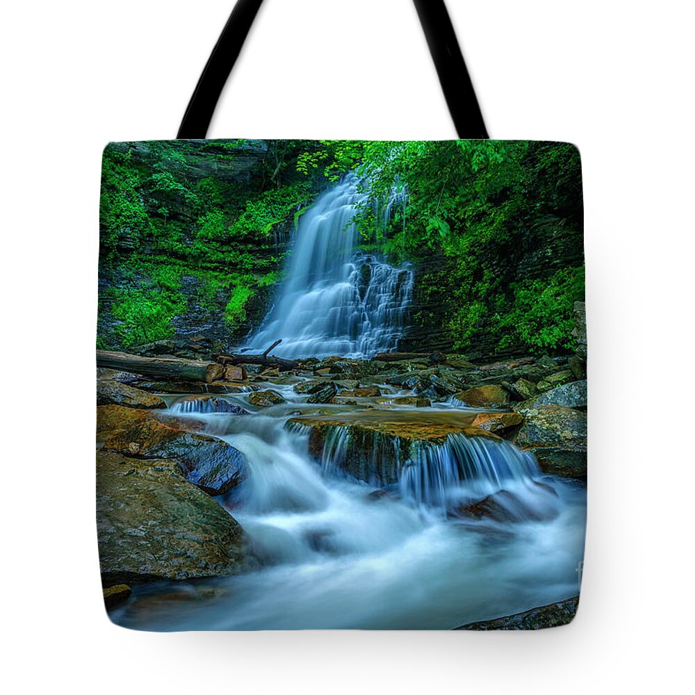 Cathedral Falls Tote Bag featuring the photograph Cathedral Falls in Morning Shade #1 by Thomas R Fletcher