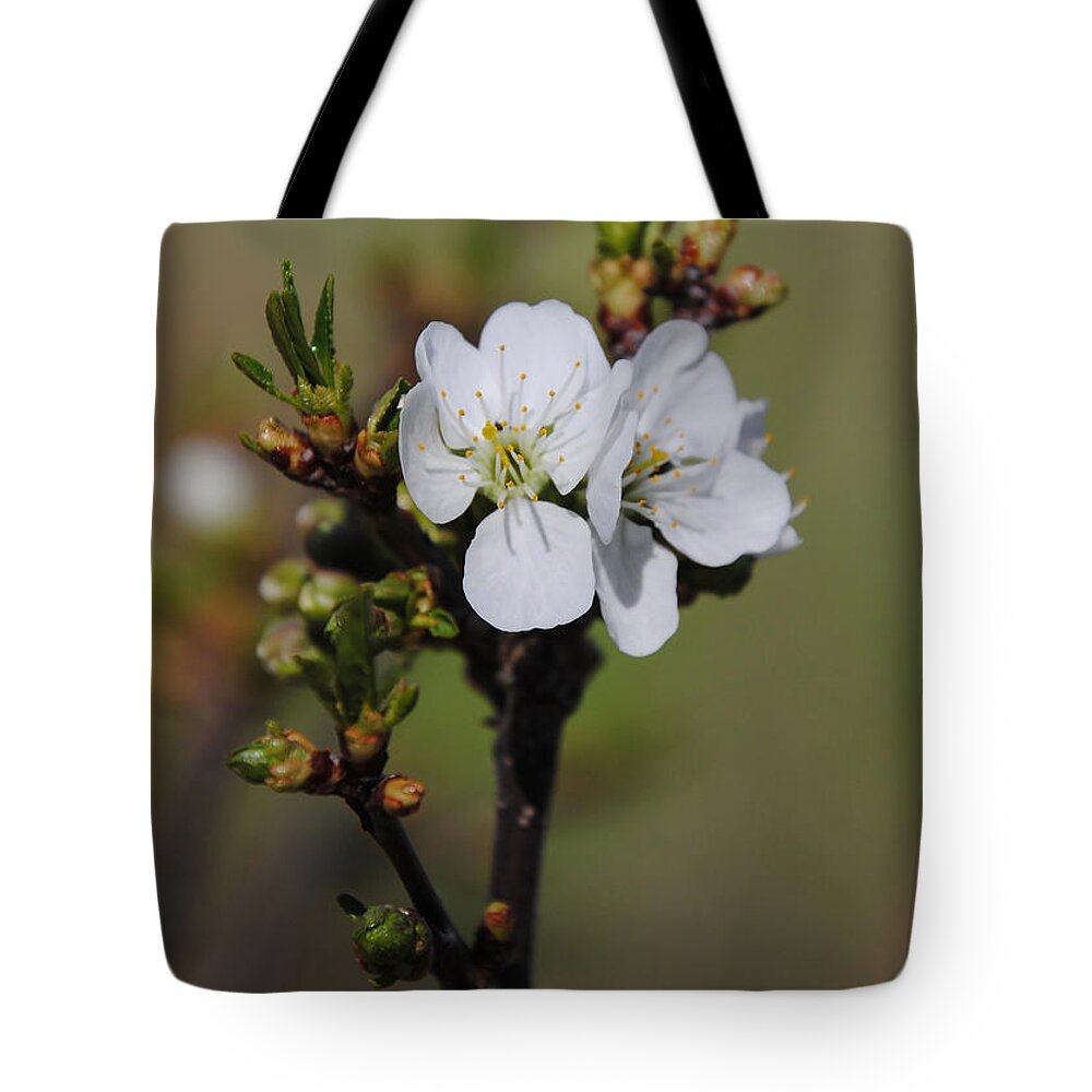 Blossom Tote Bag featuring the photograph Cherry Blossoms #1 by Vallee Johnson