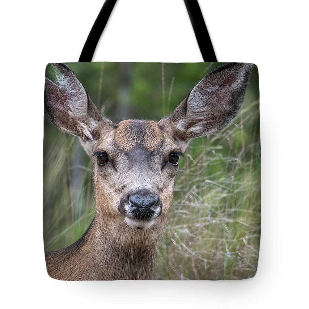 2020 Tote Bag featuring the photograph Close-up of a Mule Doe by Constance Puttkemery