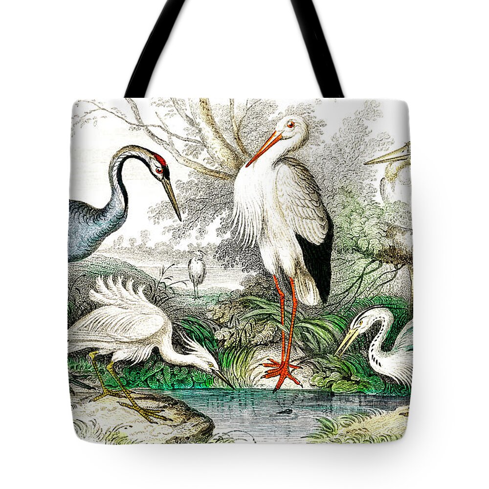 Common Egret Tote Bags