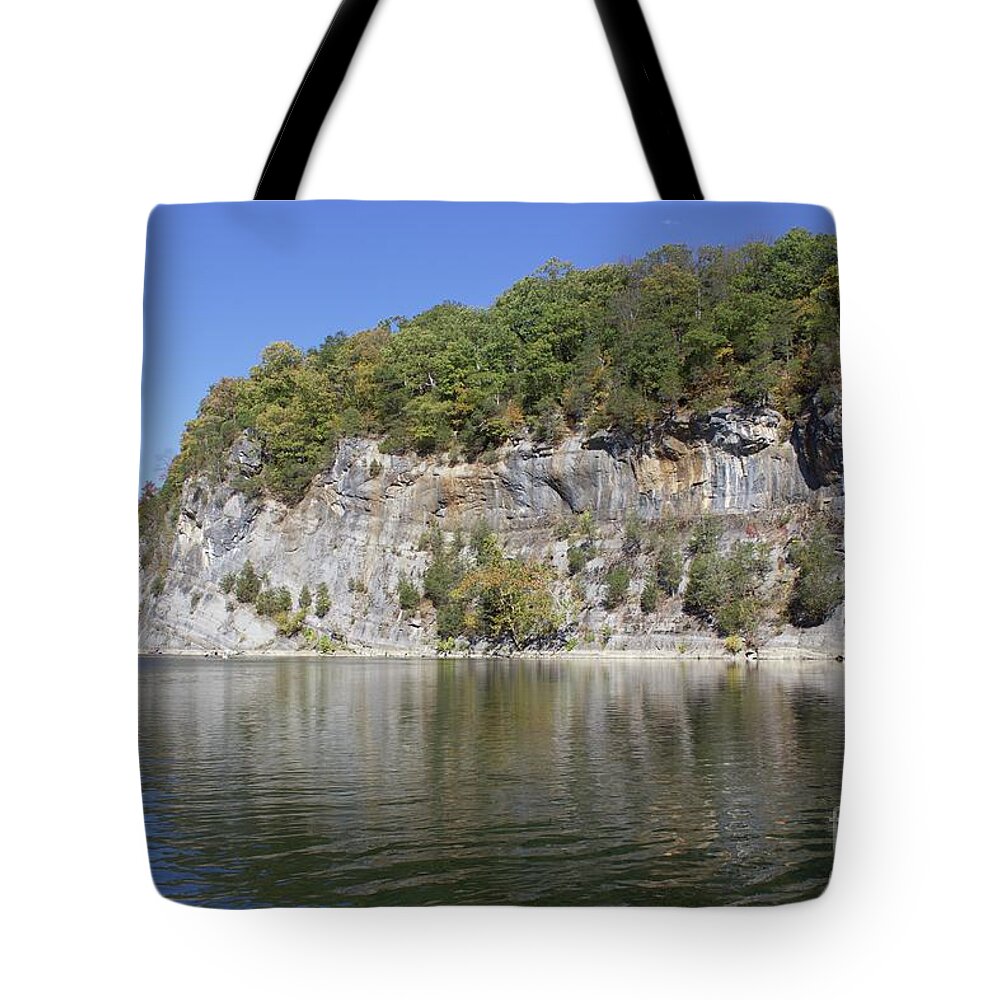  Tote Bag featuring the photograph Compton Rapids by Annamaria Frost