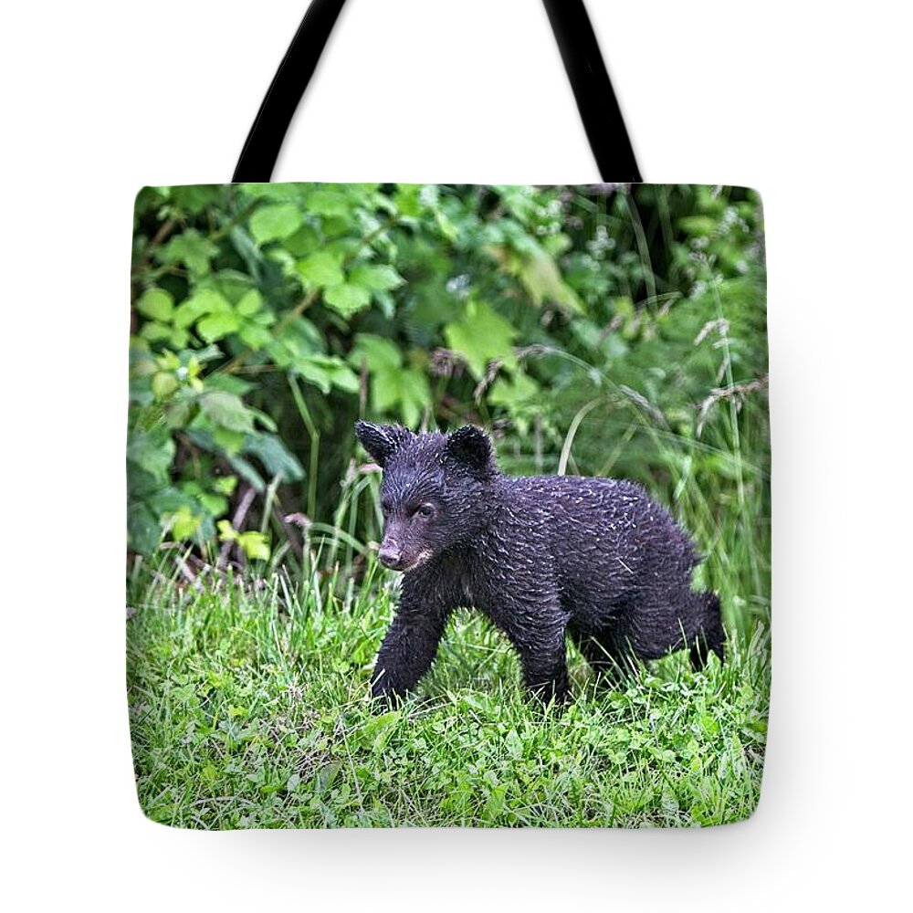 Location Tote Bag featuring the photograph Cub in the grass by Canadart -