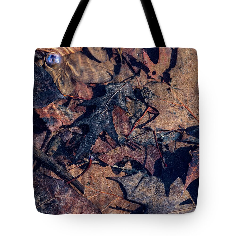 Delaware River Tote Bag featuring the photograph Delaware River Clean Water #1 by Amelia Pearn