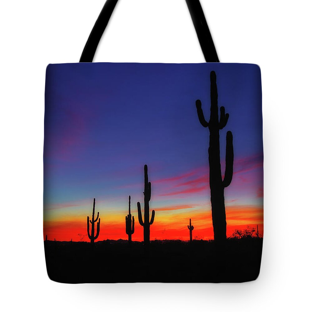 Desert Tote Bag featuring the photograph Desert Sunset #1 by Bob Falcone
