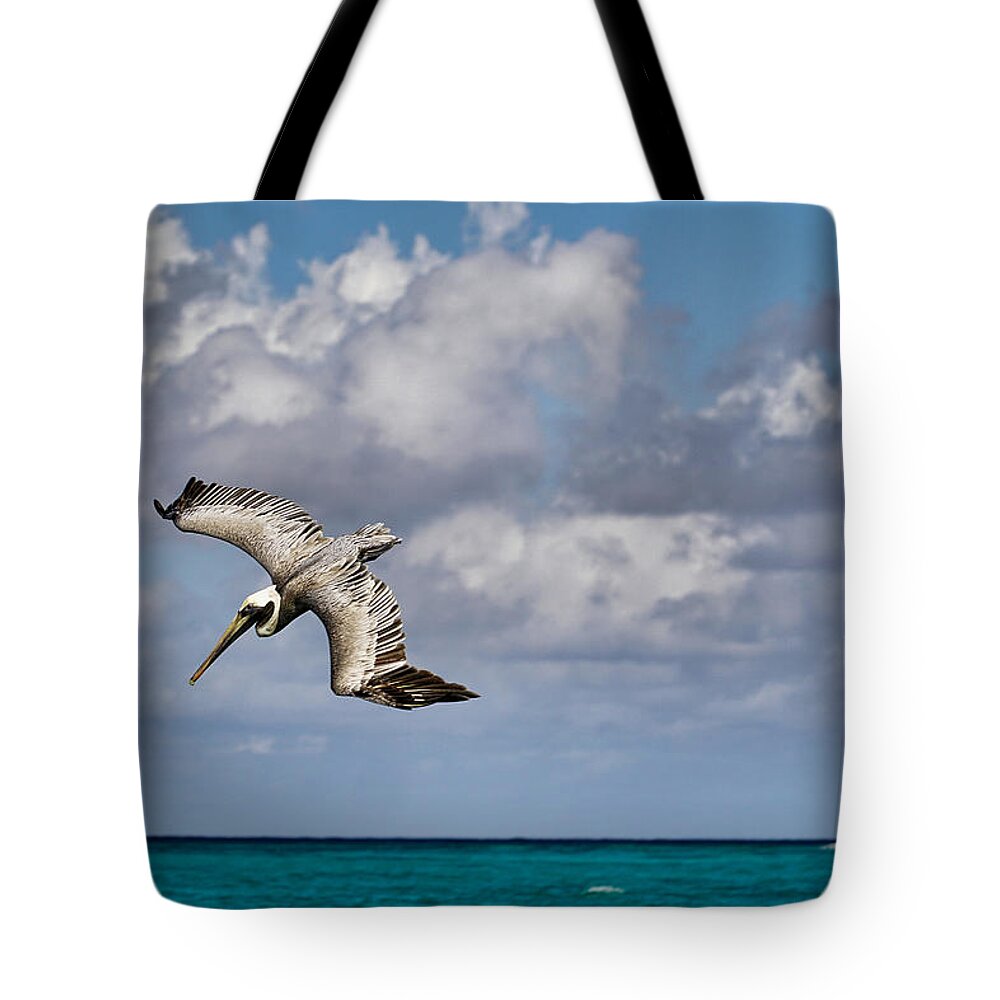 Pelican Tote Bag featuring the photograph Diving Pelican #2 by Montez Kerr