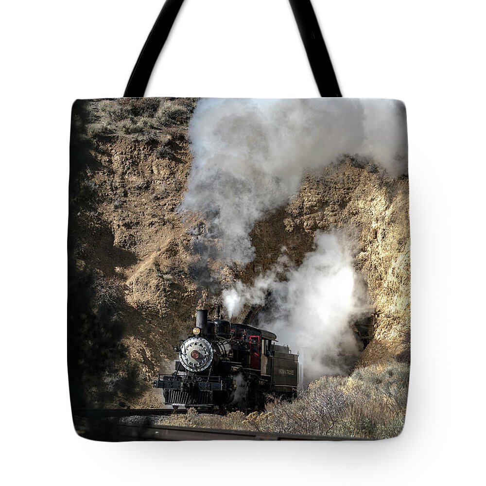  Tote Bag featuring the photograph Dsc09463 #1 by John T Humphrey