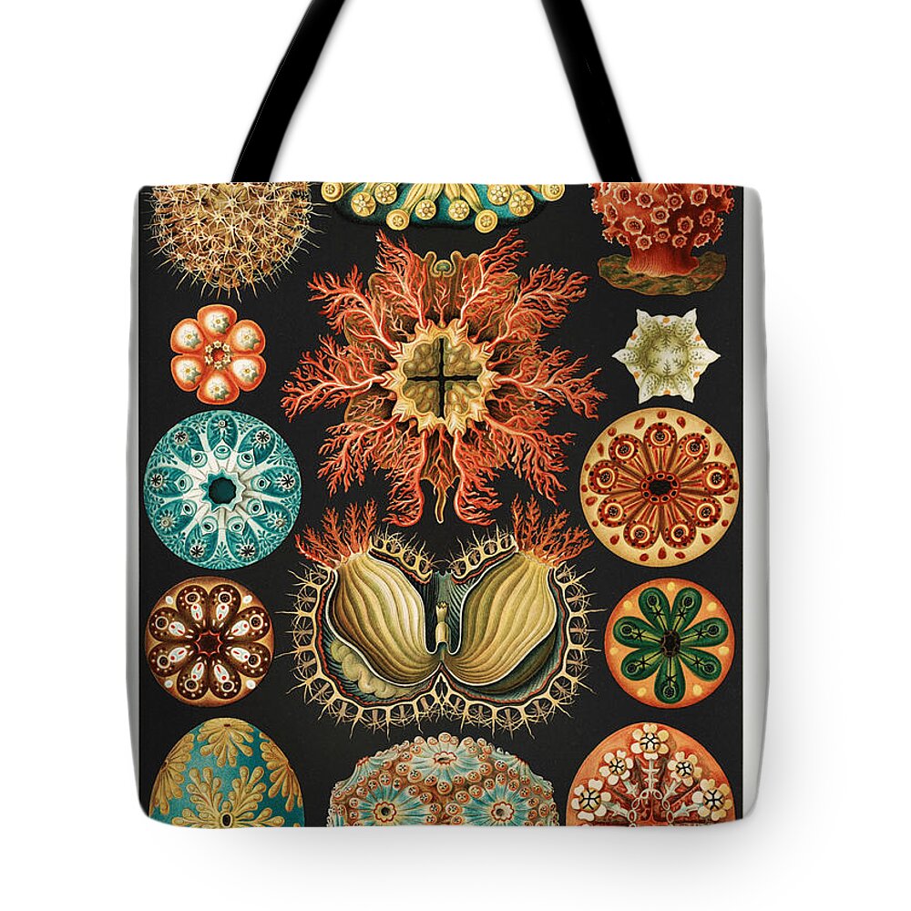 Arachnida Tote Bag featuring the mixed media Ernst Haeckel Illustrations #1 by World Art Collective