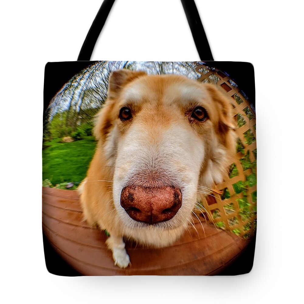  Tote Bag featuring the photograph Extreme Closeup by Brad Nellis