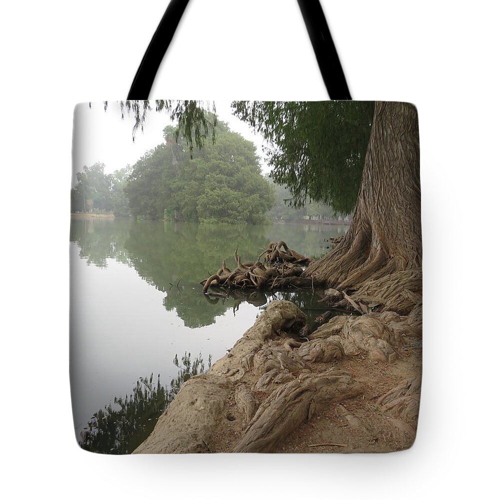  Tote Bag featuring the pyrography Fairmount Park #1 by Raymond Fernandez