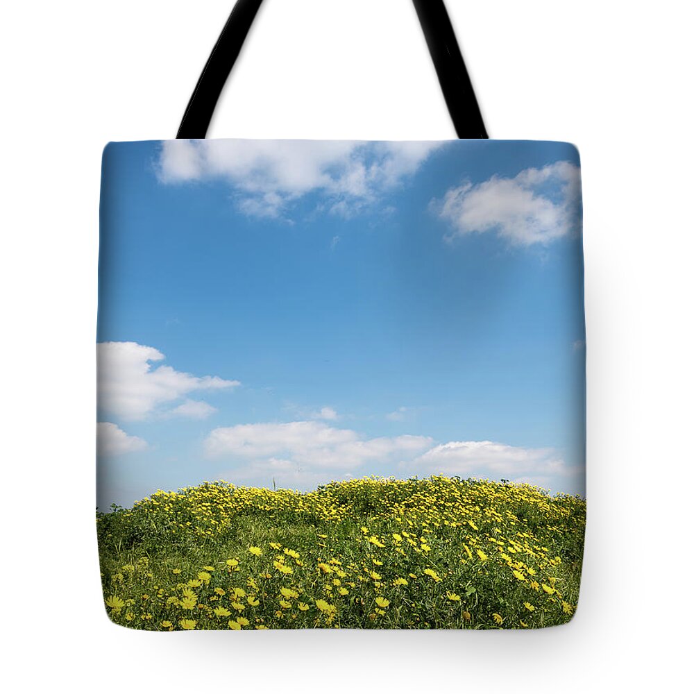 Flowers Tote Bag featuring the photograph Field with yellow marguerite daisy blooming flowers against and blue cloudy sky. Spring landscape nature background by Michalakis Ppalis