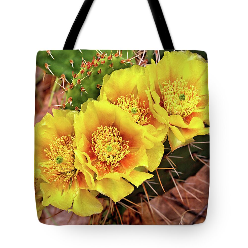 Cactus Tote Bag featuring the photograph Five Cactus Blossoms by Bob Falcone