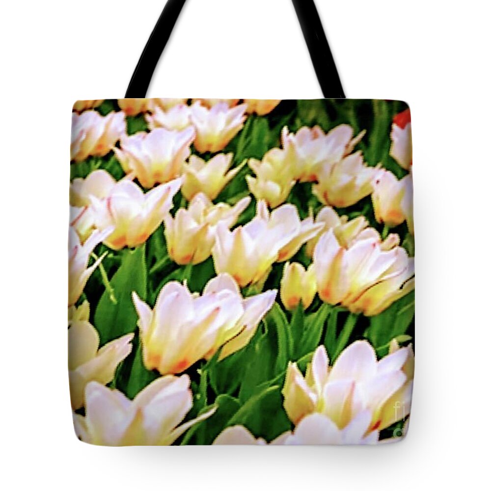Flower Tote Bag featuring the photograph Flower Collection #1 by Yvonne Padmos