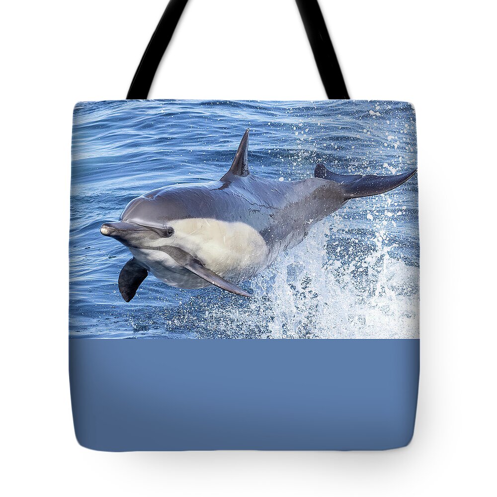 Tote Bag featuring the photograph Flying Dolphin #2 by Loriannah Hespe