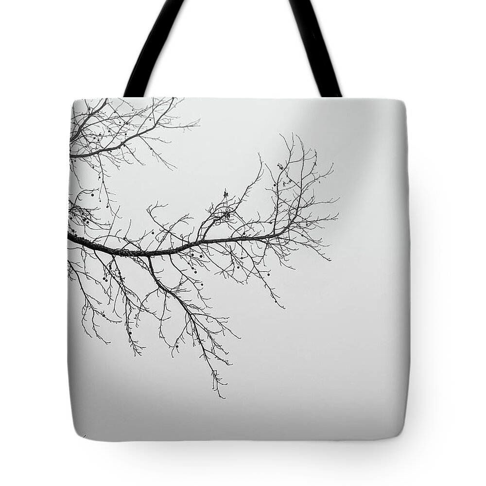 Black Tote Bag featuring the photograph Foggy Morning In The Forest In Monotone #1 by Alex Grichenko