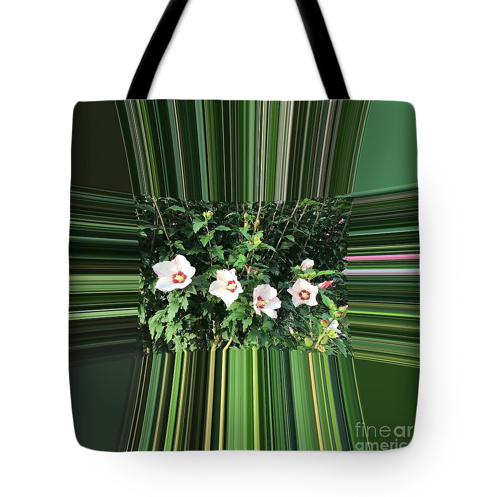 Flowers Tote Bag featuring the photograph Four Hibiscus by Catherine Wilson