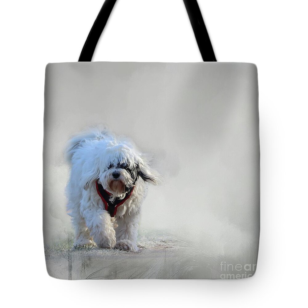 Dog Tote Bag featuring the photograph Frosty Morning #1 by Eva Lechner